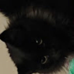 Meet your Posher, Cherie